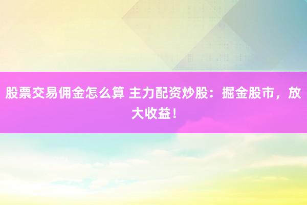 股票交易佣金怎么算 主力配资炒股：掘金股市，放大收益！