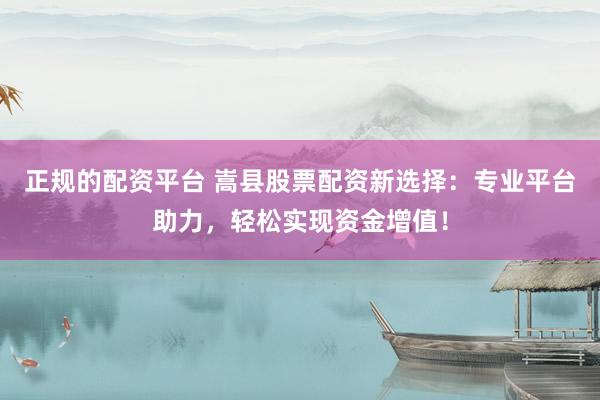 正规的配资平台 嵩县股票配资新选择：专业平台助力，轻松实现资金增值！