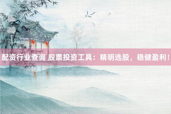 配资行业查询 股票投资工具：精明选股，稳健盈利！