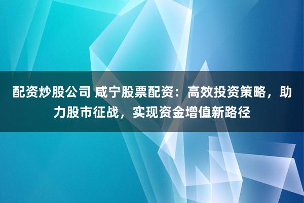 配资炒股公司 咸宁股票配资：高效投资策略，助力股市征战，实现资金增值新路径