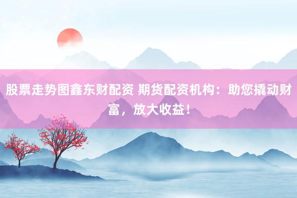 股票走势图鑫东财配资 期货配资机构：助您撬动财富，放大收益！