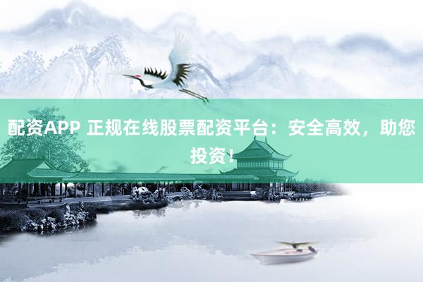配资APP 正规在线股票配资平台：安全高效，助您投资！