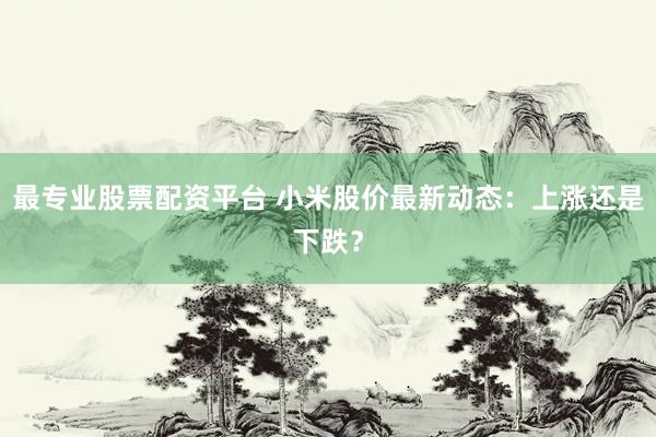 最专业股票配资平台 小米股价最新动态：上涨还是下跌？
