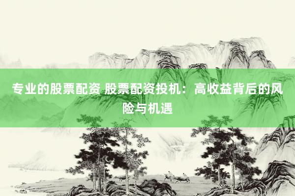 专业的股票配资 股票配资投机：高收益背后的风险与机遇